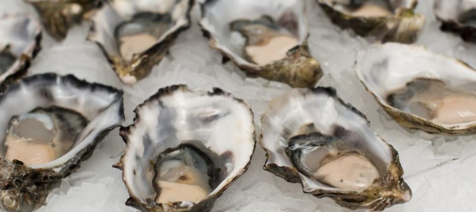 Brunch ud af huset: En udforskning af en populær madoplevelse
