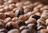 Det sunde fedt: Derfor gavner nødder, fisk og avocado kroppen