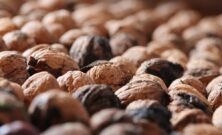 Det sunde fedt: Derfor gavner nødder, fisk og avocado kroppen