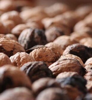 Det sunde fedt: Derfor gavner nødder, fisk og avocado kroppen