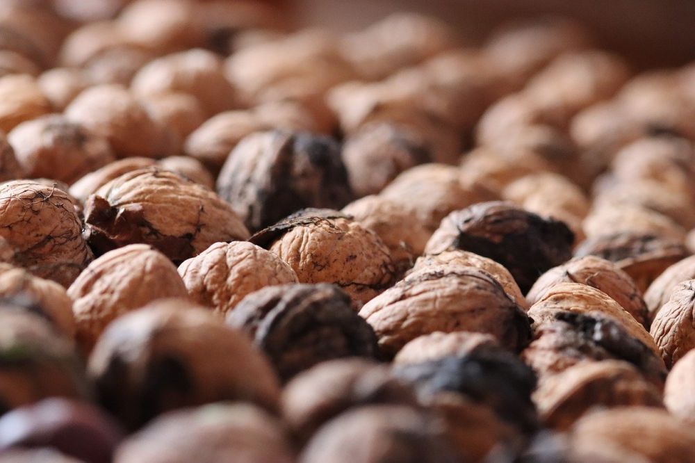 Det sunde fedt: Derfor gavner nødder, fisk og avocado kroppen